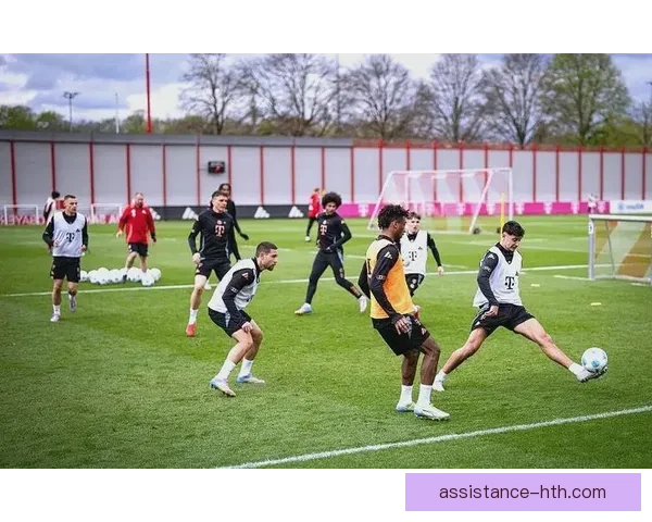 海登海姆俱乐部：德国足球崛起的新星与挑战之路