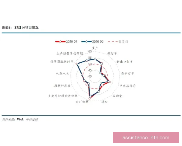 森林狼俱乐部发展历程与未来战略规划全景解析